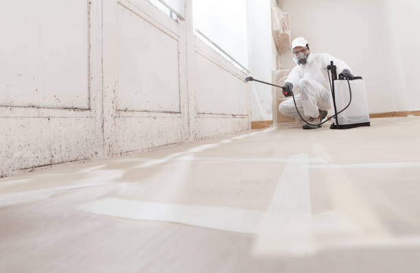 24/7 Emergency Attic Mold Remediation experts in Clinton, WA