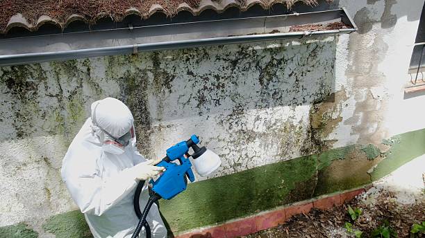 Top rated local Attic Mold Remediation specialists in Clinton, WA